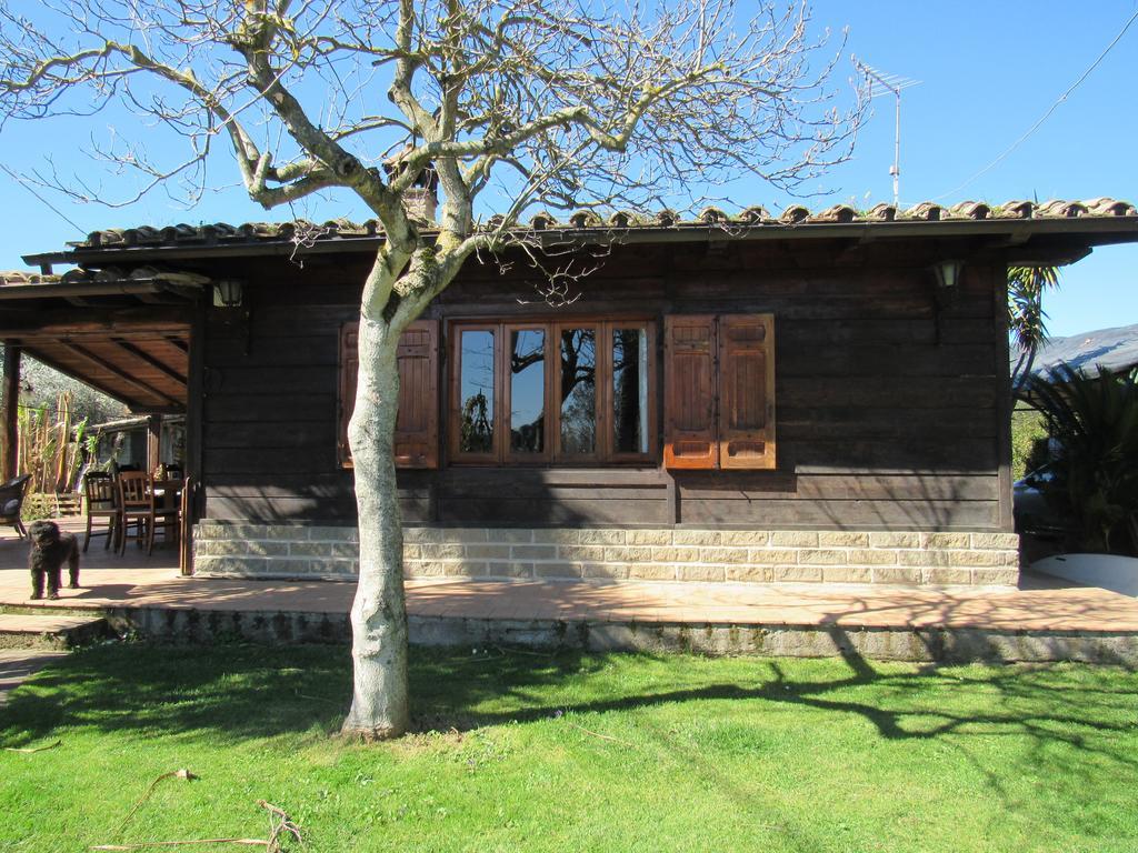The Lake Chalet Bracciano  Exterior foto