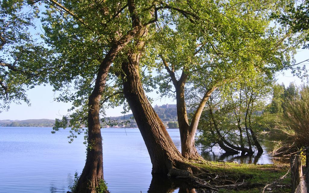 The Lake Chalet Bracciano  Exterior foto